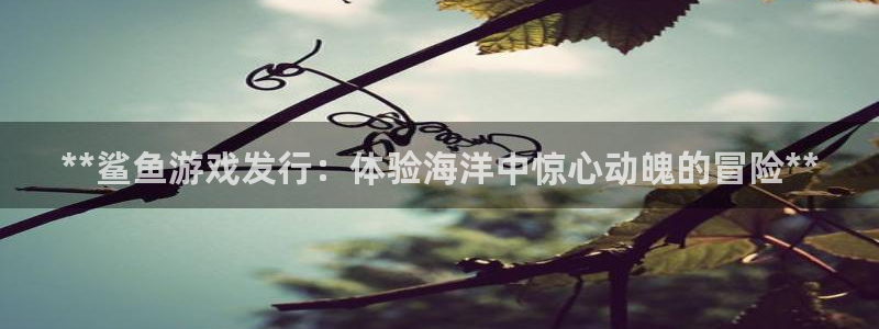 天辰平台注册地址怎么改不了：**鲨鱼游戏发行：体验海洋中惊心动魄的冒险**