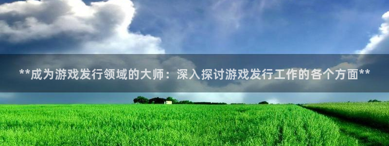 天辰娱乐平台账号注册地址是多少：**成为游戏发行领域的大师：深入探讨游戏发行工作的各个方面**