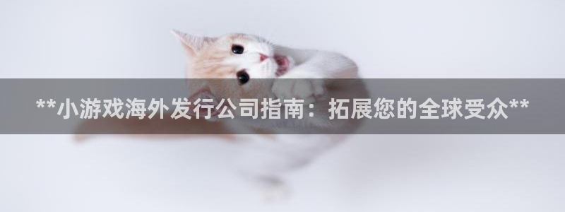天辰平台布7O777：**小游戏海外发行公司指南：拓展您的全球受众**