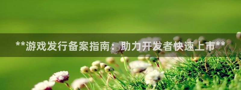 天辰平台 注册你的专属平台入口在哪：**游戏发行备案指南：助力开发者快速上市**