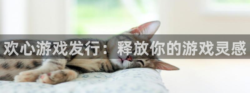 天辰游戏平台怎么样：欢心游戏发行：释放你的游戏灵感