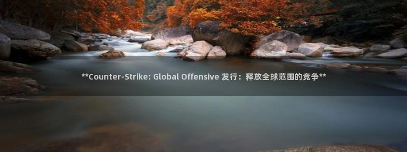 天辰平台专用注册通道安全吗可靠吗：**Counter-Strike: Global Offensive 发行：释放全球范围的竞争**