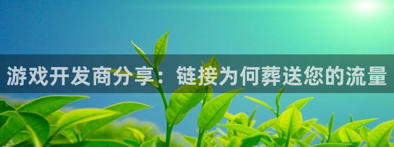 天辰网怎么样：游戏开发商分享：链接为何葬送您的流量