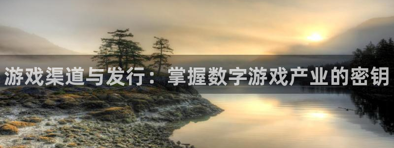 天辰娱乐app里面做任务是真的吗贴吧怎么样：游戏渠道与发行：掌握数字游戏产业的密钥