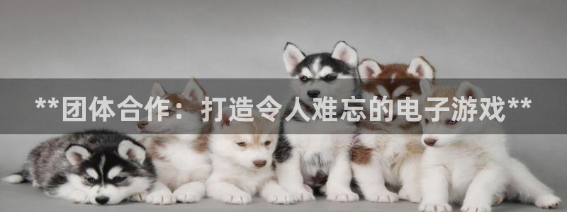 天辰平台用户登录失败：**团体合作：打造令人难忘的电子游戏**