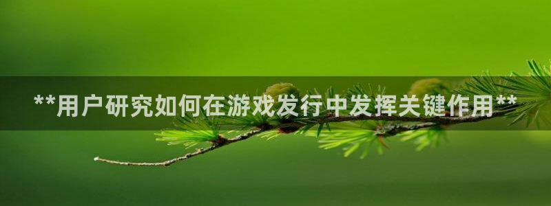 天辰平台登录注册不了：**用户研究如何在游戏发行中发挥关键作用**