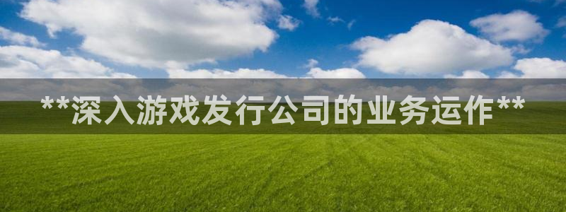 天辰平台q548-810：**深入游戏发行公司的业务运作**