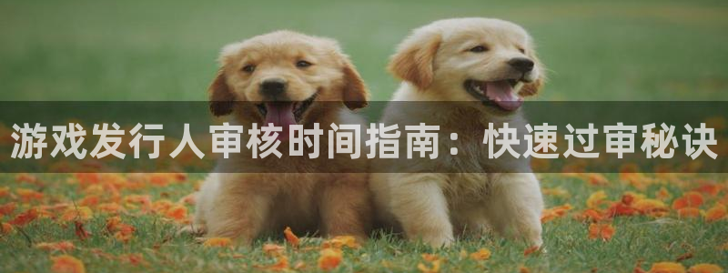 天辰平台招 411O31 平台