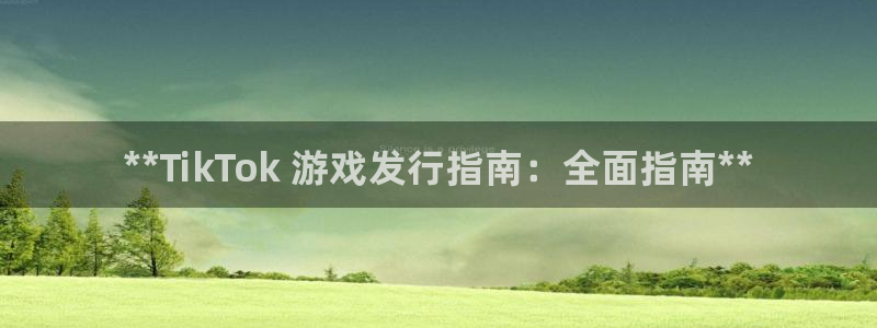 天辰娱乐平台账号注册地址是多少：**TikTok 游戏发行指南：全面指南**