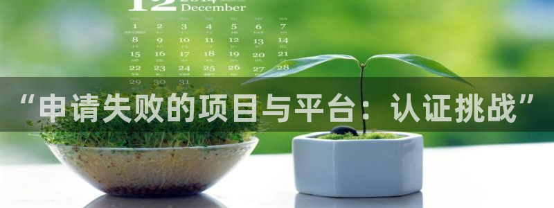 天辰平台把7O777