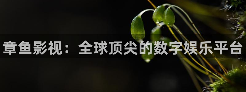 五杀影院在线播放