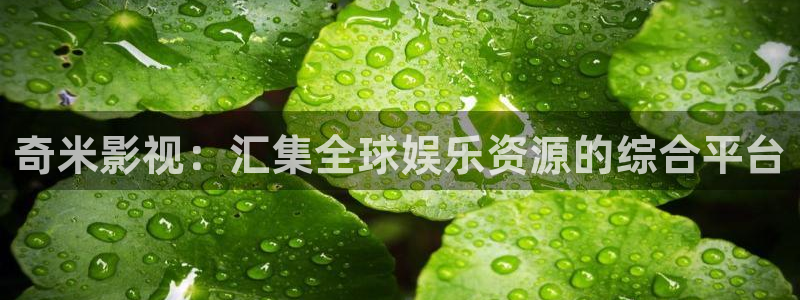 五杀影院在线免费观看