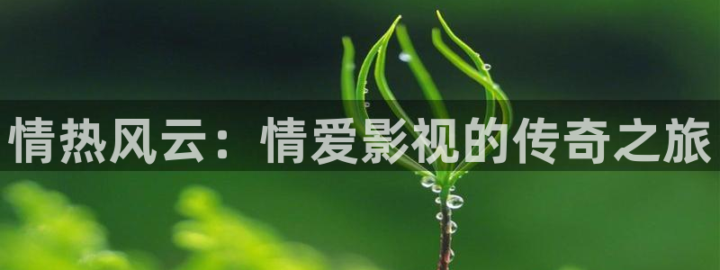 五杀影院在线观看免费播放：情热风云：情爱影视的传奇之旅