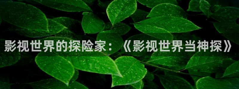 五杀影院在线观看免费：影视世界的探险家：《影视世界当神探》