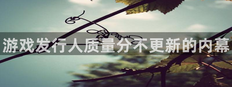 天辰平台注册你的专属平台入口：游戏发行人质量分不更新的内幕