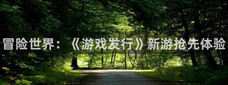 天辰平台测速登录不上去：冒险世界：《游戏发行》新游抢先体验