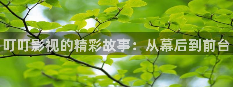 五杀影院免费在线观看：叮叮影视的精彩故事：从幕后到前台