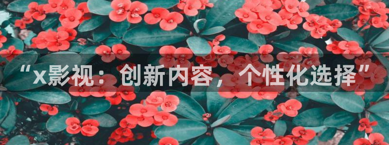 五杀影院免费高清完整