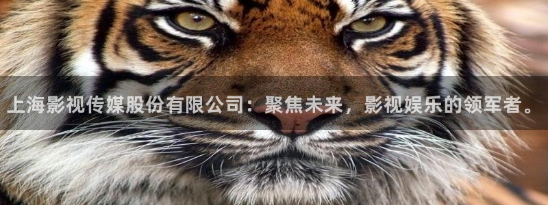 五杀影院最新免费观看